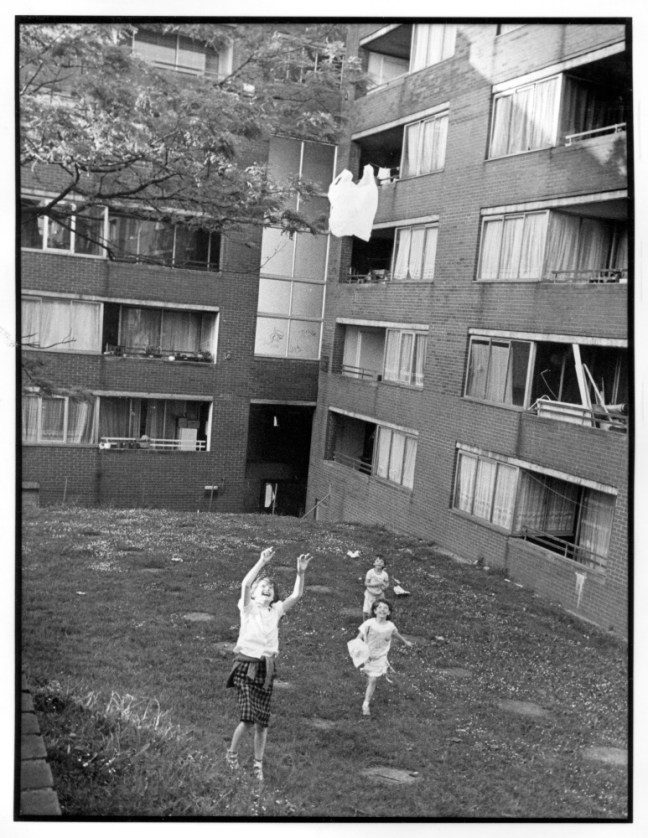 Work taking place to landscape Chettle Court 1992